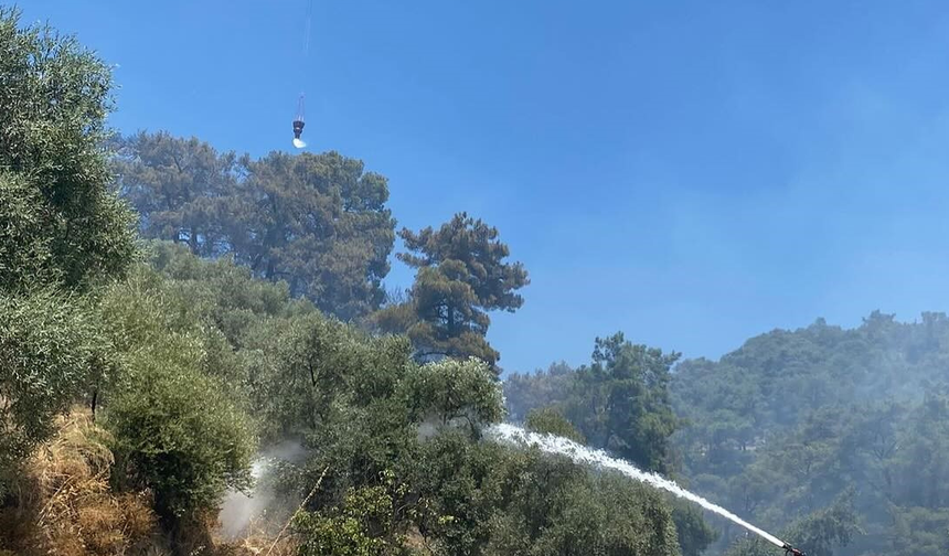 Germencik’teki yangın kontrol altına alındı