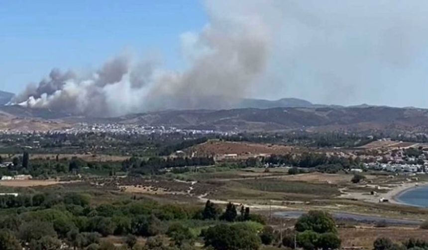 İzmir'de orman yangını