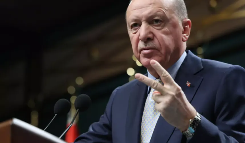 Cumhurbaşkanı Erdoğan'dan nadir element açıklaması