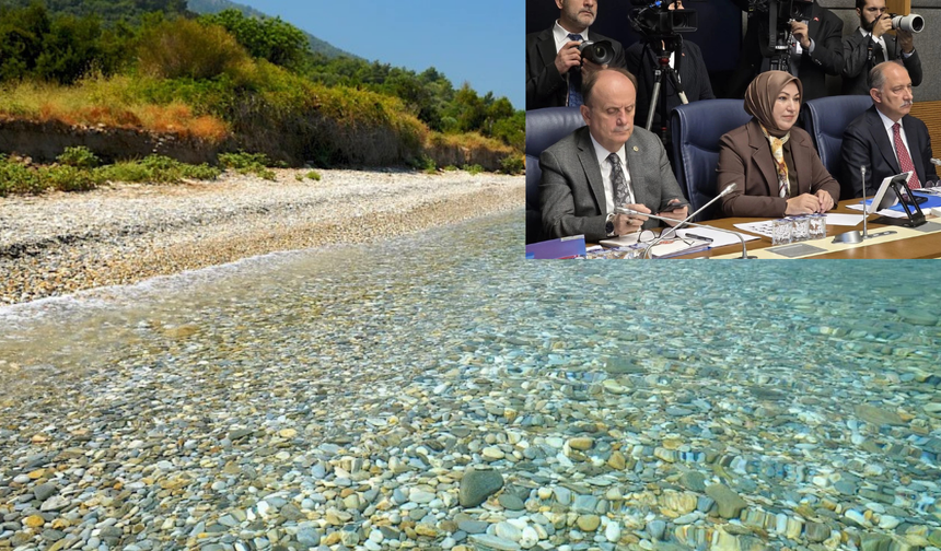 Milli Parklar’a ilişkin kanun teklifi Komisyon’da