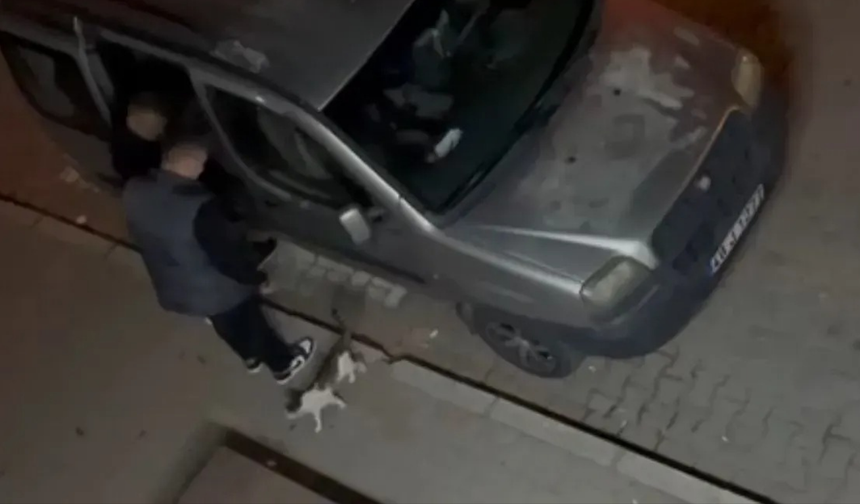 Kediyi tekme attı, cezası verildi