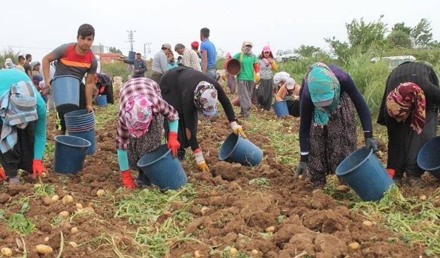 Köye dönüş için yeni teşvikler yolda