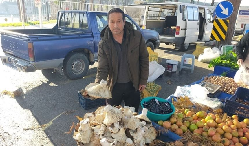 Paşa Yaylası'nın Efsane Mantarları Tezgaha Indi: Kilosu Sadece 100 Tl, Tek Parça Bir Öğünlük!