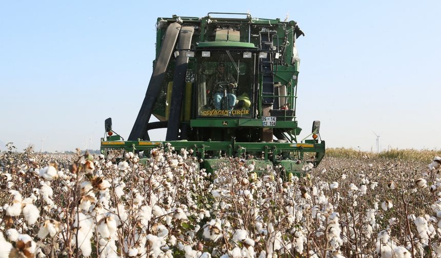 Üreticilere Kritik ÇKS Hatırlatması: Başvurular İçin Son Tarih Yaklaşıyor