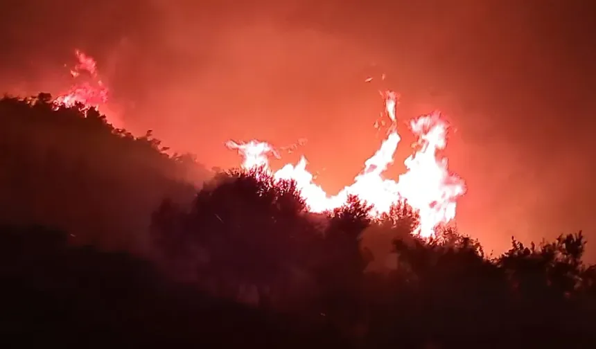 Antalya’da alevlerle gece mesaisi: Serik’te orman ve zeytinlikler yanıyor!