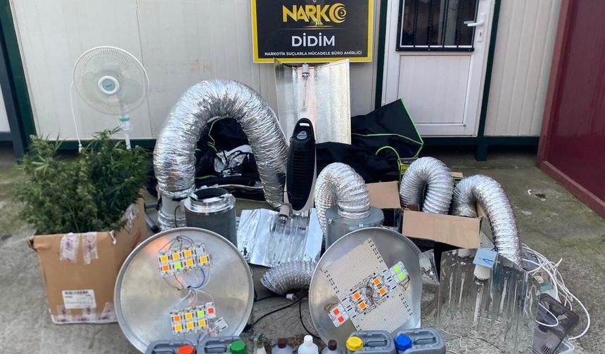 Didim'de kenevir yetiştirme kabini ele geçirildi