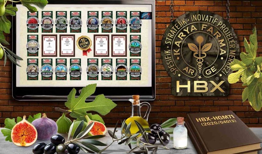 Aydın’ın kadim meyvelerine bilimsel dokunuş: İncir ve Zeytin Akademisi kuruluyor