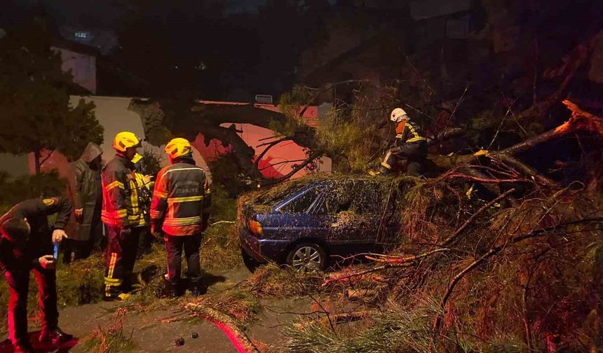 Efeler'de rüzgardan devrilen ağaç, otomobildeki iki kişiyi yaraladı