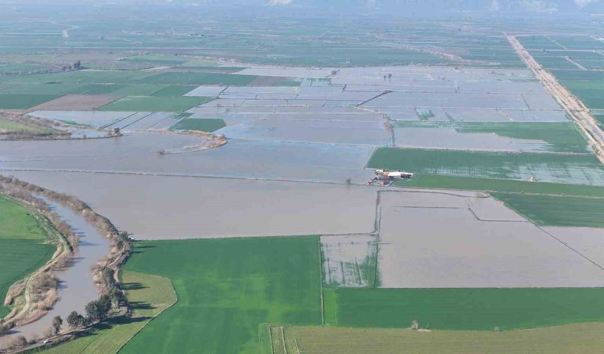 Menderes taştı, yüzlerce dönüm sular altında kaldı