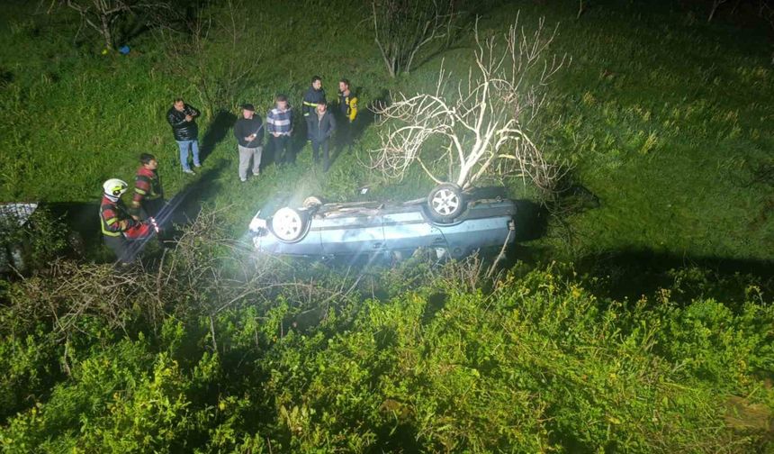 Nazilli'de domuza çarpan otomobil uçuruma yuvarlandı