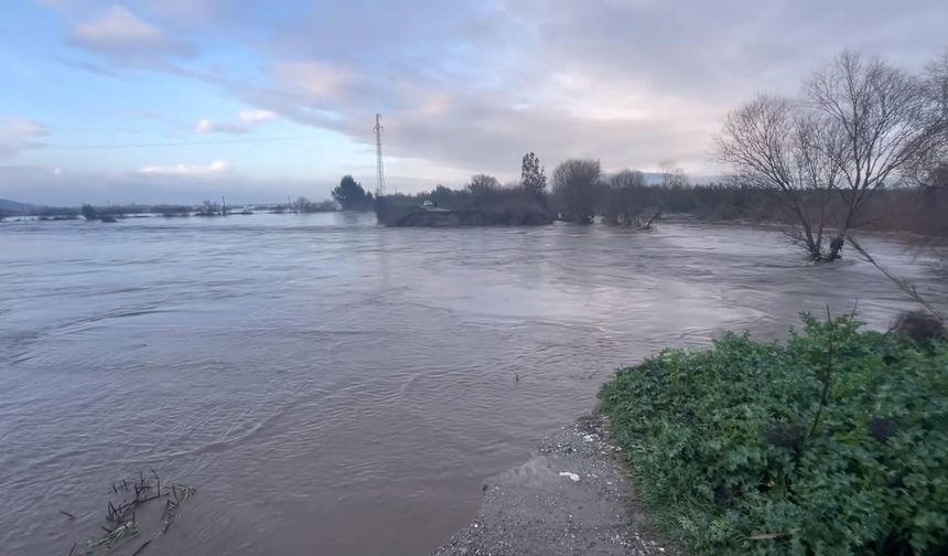 Sarıçay taştı, Bağarası'nda tarım arazileri sular altında