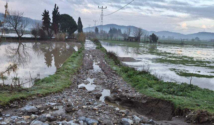 Söke'de aşırı yağışlar sonrası tarım alanlarında hasar tespiti