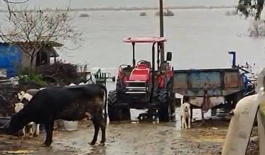 Söke’de mahallenin yarısı suya gömüldü