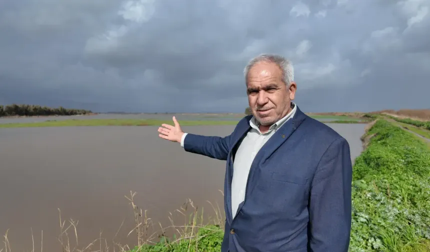 Söke Ovasında 60 bin dekar buğday sular altında