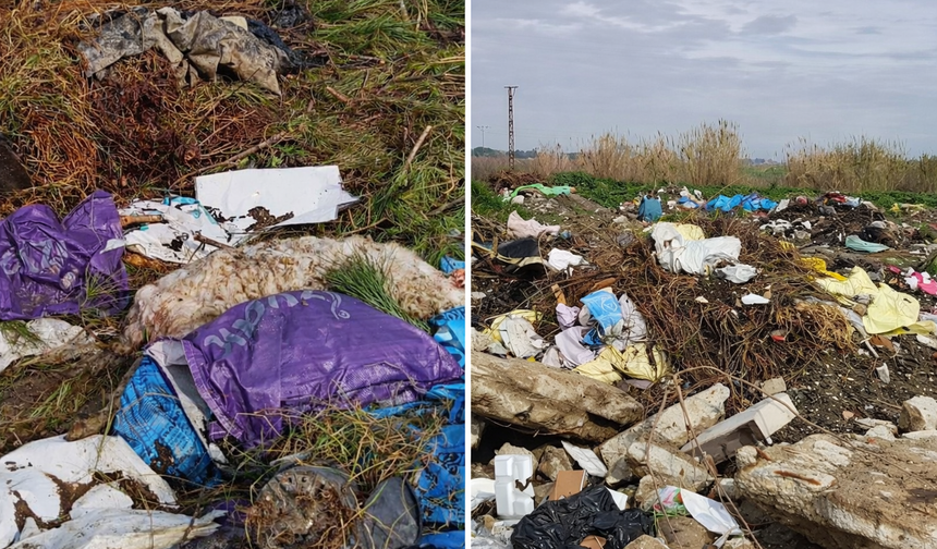 Söke’de tarım arazileri yeniden çöplüğe döndü