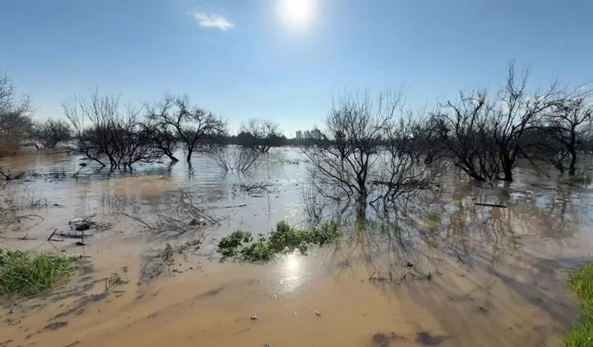 Menderes taştı, çiftçinin umudu battı