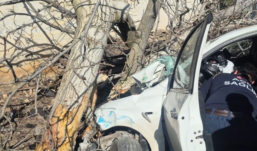 Otomobil ağaçlara ok gibi saplandı: 2 ölü, 1 ağır yaralı