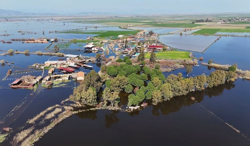 Kalcık Mahallesi, Venedik'e döndü