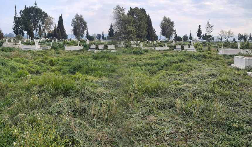 Aydın’da mezarlıklar kaderine terk edildi! Vatandaş isyan etti