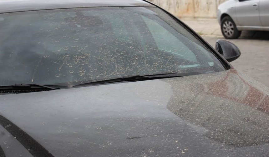 Aydın'da toz taşınımı bekleniyor