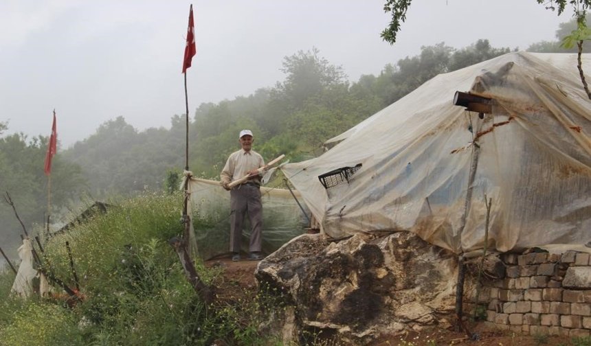 Aydın'ın Robinson'u modern hayata kavuşturuldu