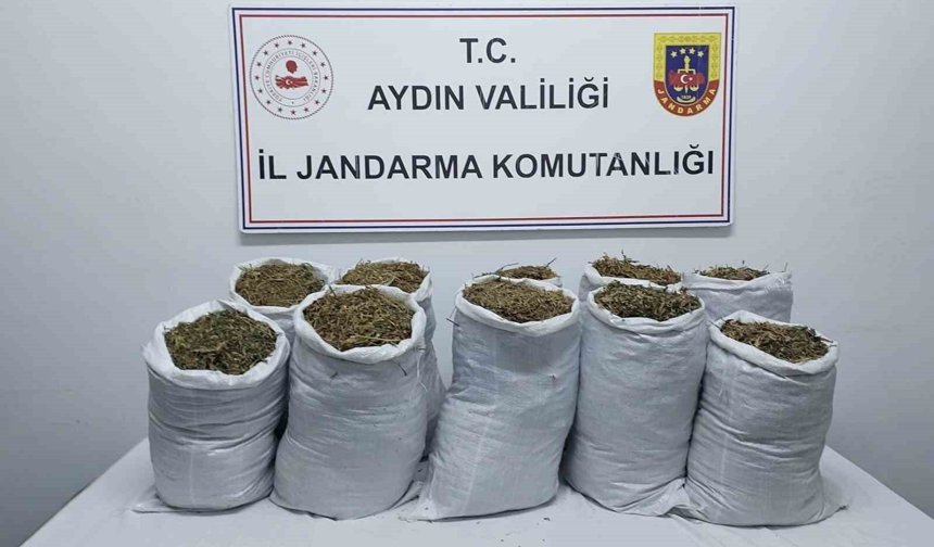Kuşadası'nda yasaklı madde operasyonu: 2 gözaltı