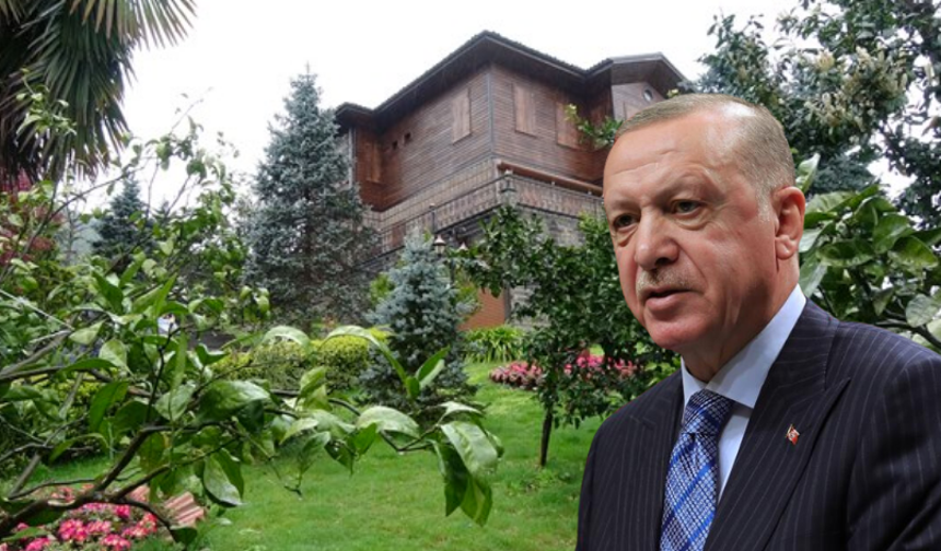 Cumhurbaşkanı Erdoğan’ın Rize programı maliyeti belli oldu