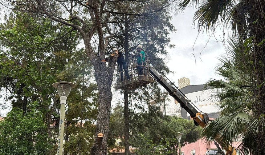Efeler'de parklar daha güvenli hale geliyor