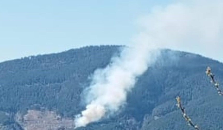 Aydın'da orman yangını sezonu erken açıldı