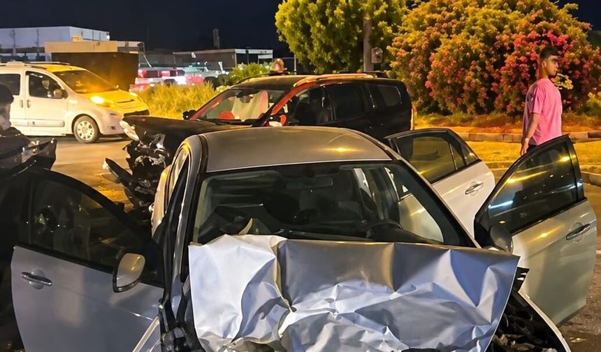 Söke'de köpeğe çarpan otomobil karşı şeride geçti: 2 yaralı