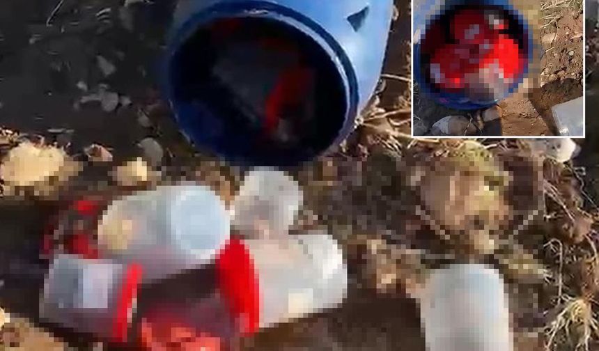 Mezarlıkta plastik varilde 21 insan cenini bulundu