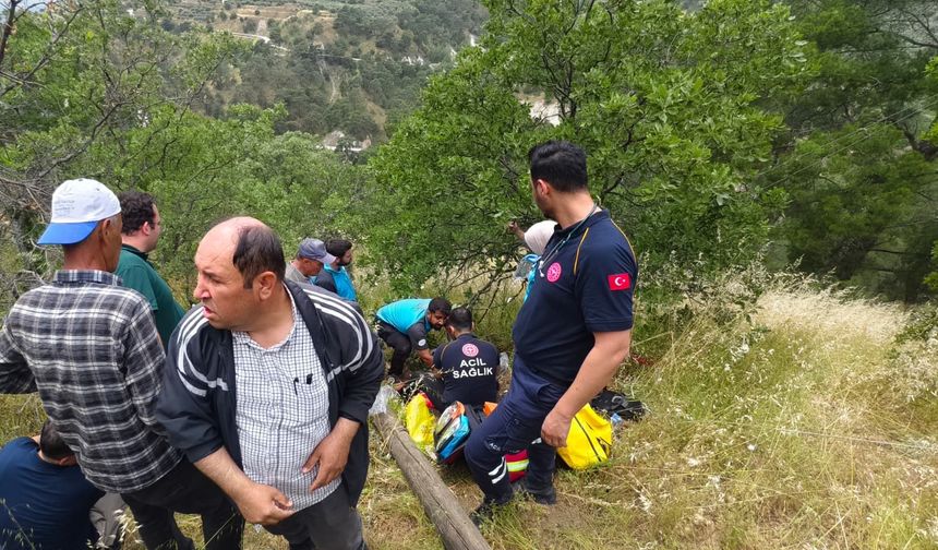 Kuyucak'ta direkle birlilkte uçuruma yuvarlandı