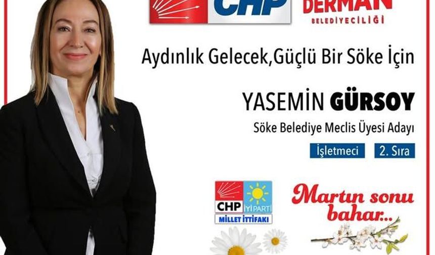 CHP'li Gürsoy meclis üyeliğinden istifa etti