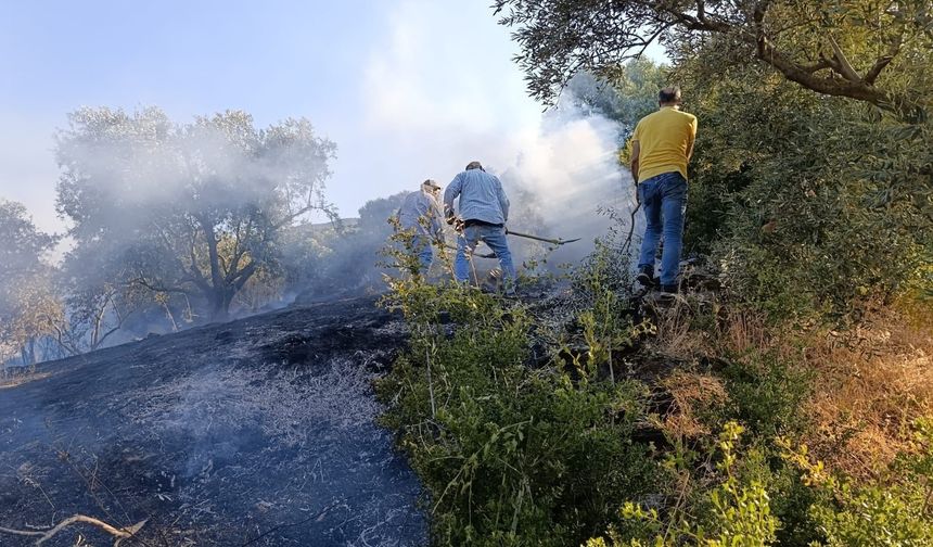 Bozdoğan’da çıkan yangın büyümeden söndürüldü