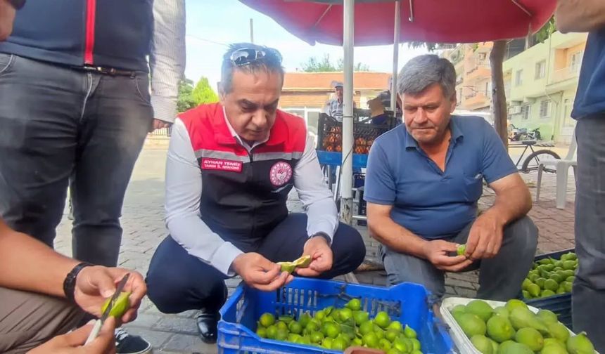 Kaliteli incir için ilek denetimleri sürüyor