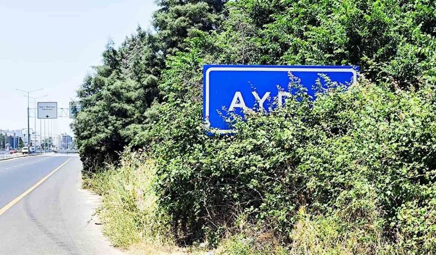 Denizli Karayolu üzerindeki Aydın tabelası çalılar arasında kaldı