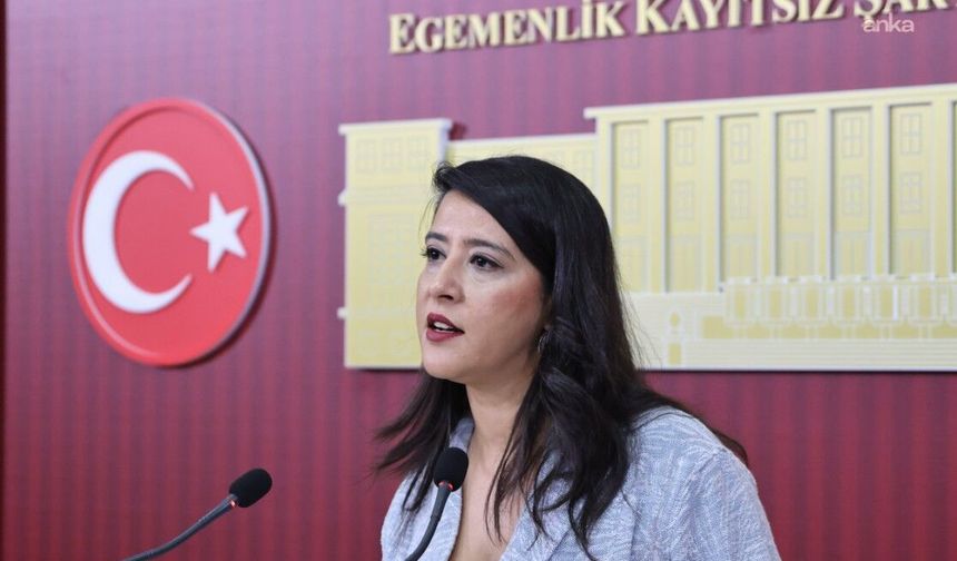 EMEP'li Sevda Karaca'dan çocuklara yönelik kanun teklifine tepki!