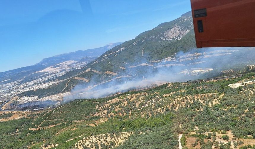 İzmir Buca'daki yangın kontrol altına alındı