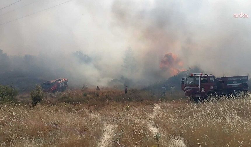 Muğla'da ormana sıçrayan yangına havadan ve karadan müdahale!