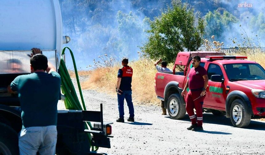 İzmir Bornova'da orman yangını!
