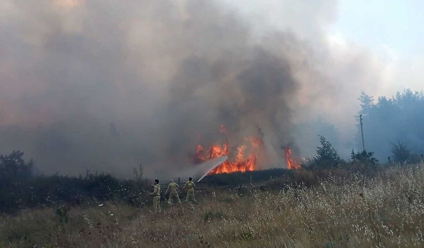 Muğla'da ormana sıçrayan yangın kontrol altına alındı