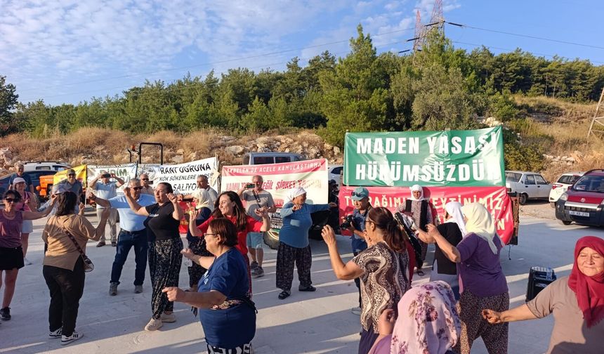 Çevre gönüllüleri, ağaç kesimlerinin üçüncü yılında Akbelen Ormanı’nda buluştu