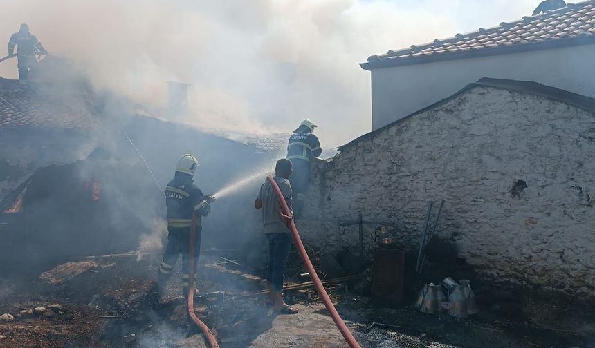 Muğla'da ev yangını can aldı