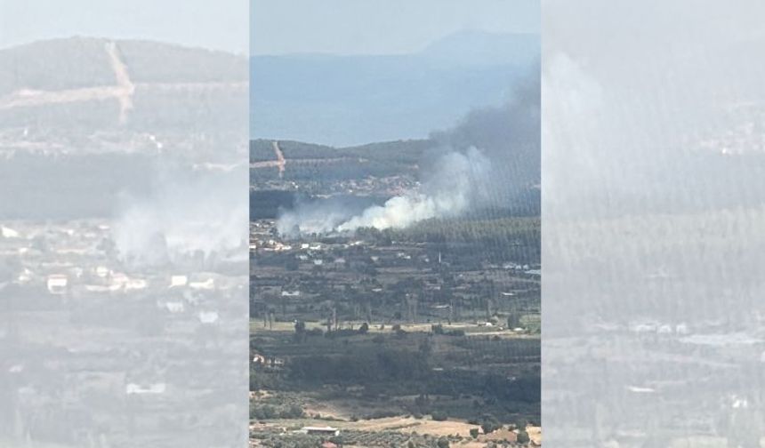 Muğla’da yerleşim bölgesinde yangın çıktı