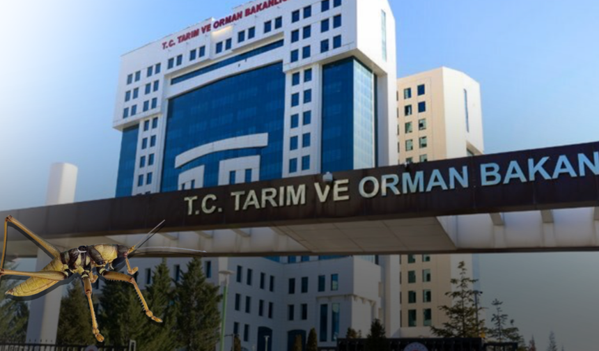 Bakanlık: "Endişe edilecek durum yok"