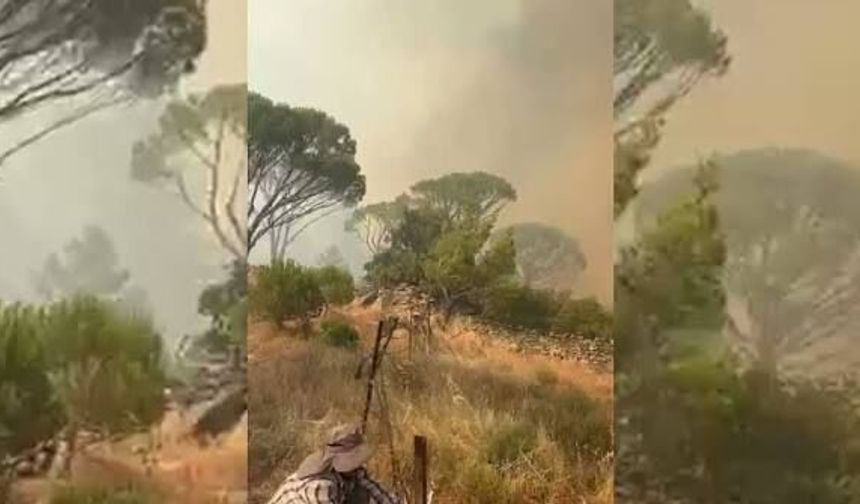Muğla'da korkutan orman yangını! Ekipler seferber oldu