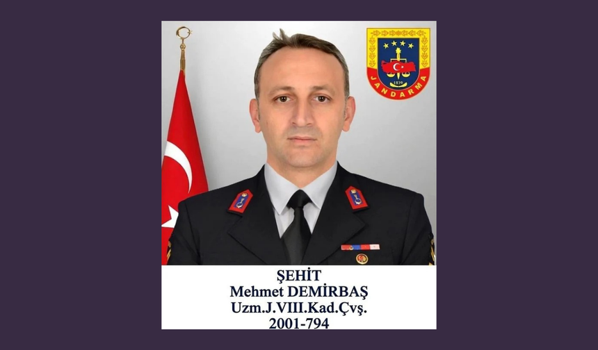 Kavga ihbarına giden jandarma şehit oldu