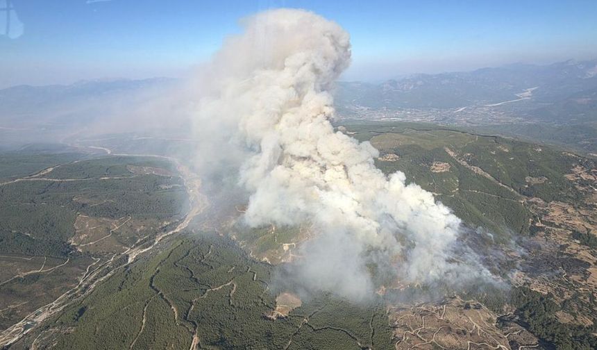 Muğla Seydikemer'de korkutan orman yangını