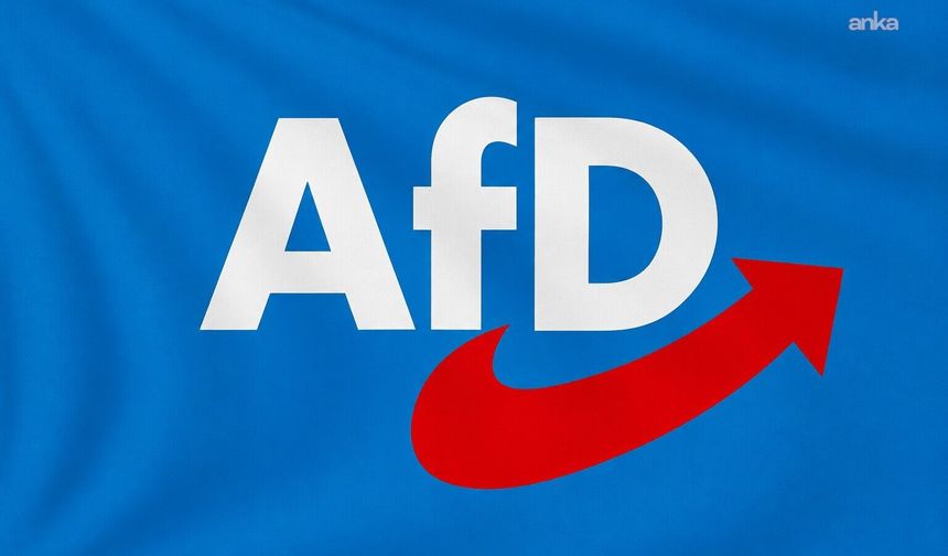 Almanya İçin Alternatif (AfD) Partisi'nin kazanmasını engellemek için 620 bin Euroluk kampanya