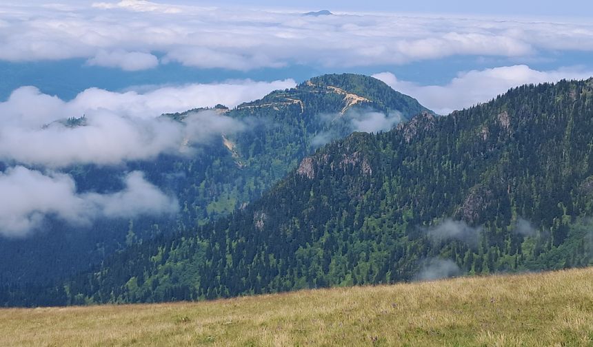 Artvin Murgul'da planlanan madencilik faaliyetlerine tepki: "Parasız yaşanır ama doğasız yaşanmaz"